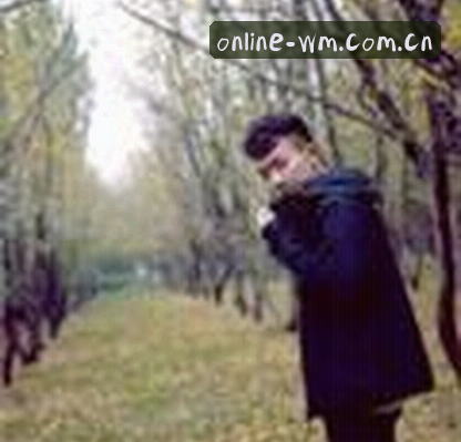 User
